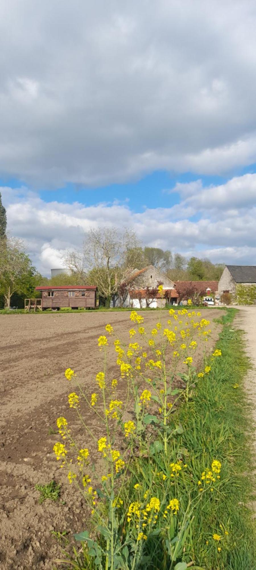 La Ferme De L'Isle Et Sa Roulotte Bed & Breakfast Avaray Eksteriør bilde